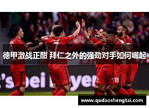 德甲激战正酣 拜仁之外的强劲对手如何崛起