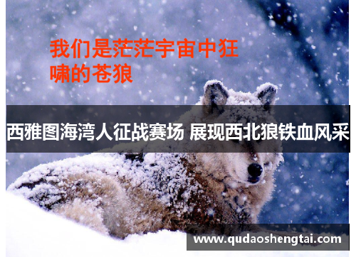 西雅图海湾人征战赛场 展现西北狼铁血风采